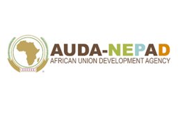 AUDA-NEPAD logo - African Union Development Agency